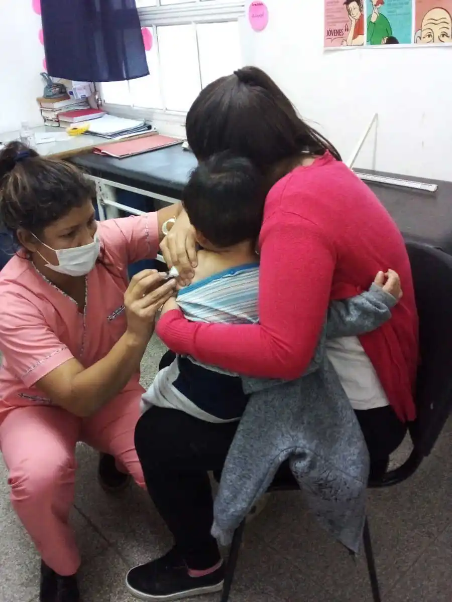 Plan de vacunación antigripal en Mojón de Fierro