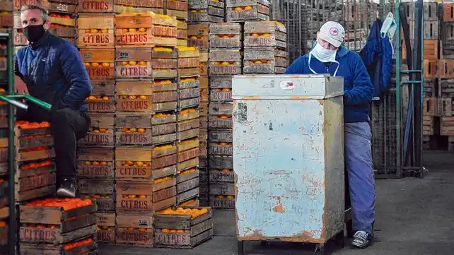 Impulsados por el petróleo, subieron un 3,7% los precios mayoristas