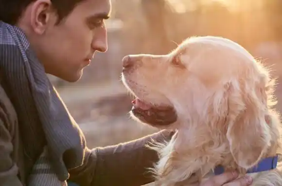 Cuarentena: el Gobierno dispuso una serie de recomendaciones para pasear perros