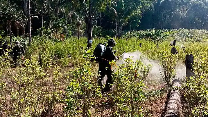 CON PALOS Y MACHETES cocaleros secuestraron a seis pelotones del Ejército de Colombia en frontera con Venezuela