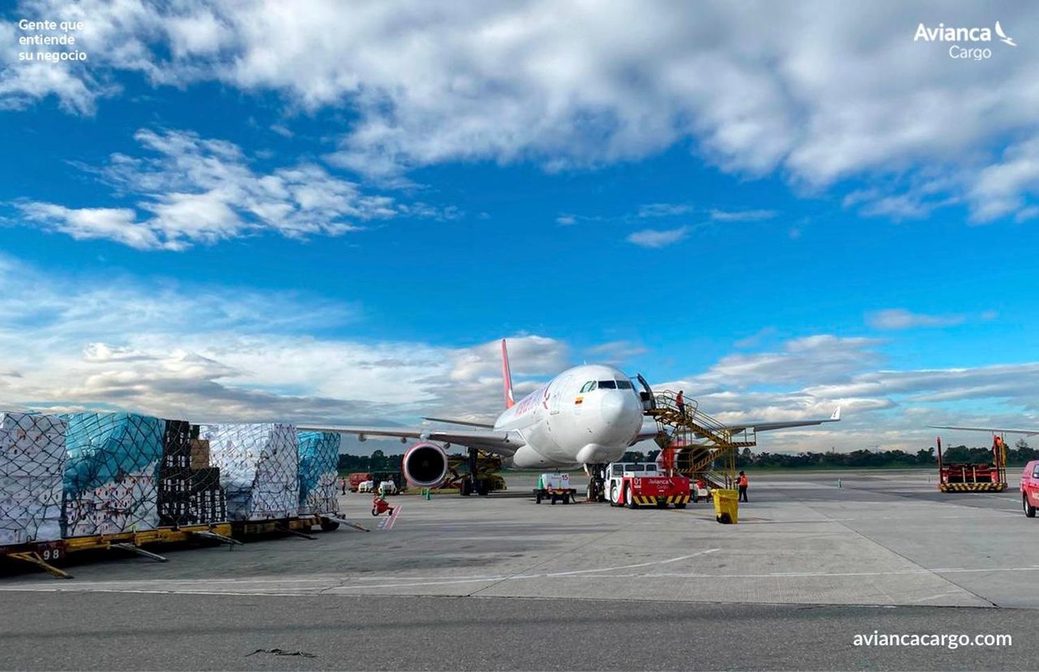 Avianca Cargo transportó 14 mil toneladas de flores por San Valentín