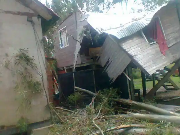 Un árbol cayó sobre una vivienda por la tormenta