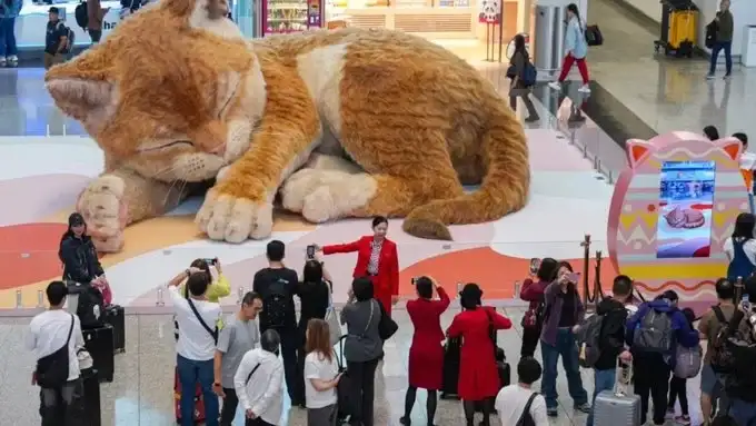 El particular gato gigante con el que los pasajeros pueden jugar mientras esperan su vuelo.