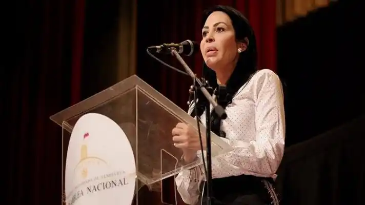 Venezuela es el país donde se producen más violaciones a los DD.HH. de los parlamentarios