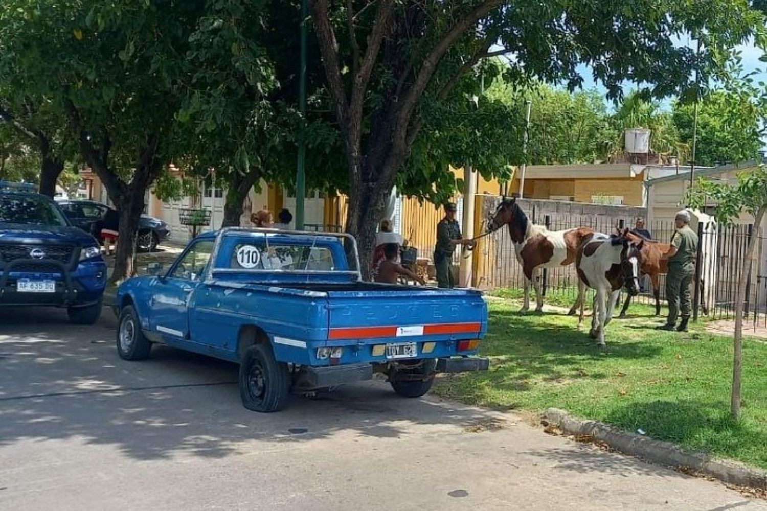 La Fiscalía inició una causa a vecina que tenía sus caballos sueltos