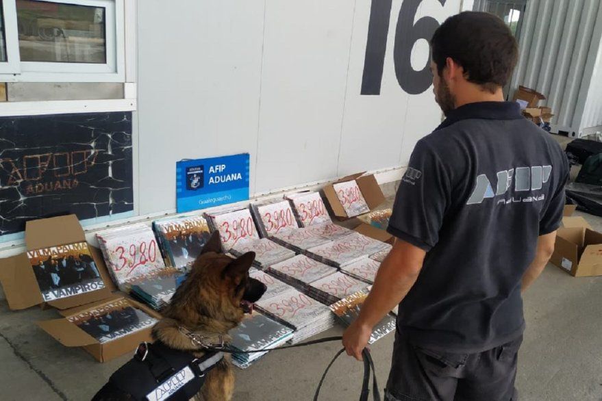 Dos hombres pretendían cruzar elpaso fronterizo Gualeguaychú-Fray Bentos con una importante suma de dólares y vinilos