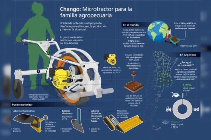 Infografía sobre sus funciones