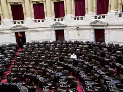 El peronismo pone en juego el 50 por ciento de sus bancas y LLA busca llegar al tercio