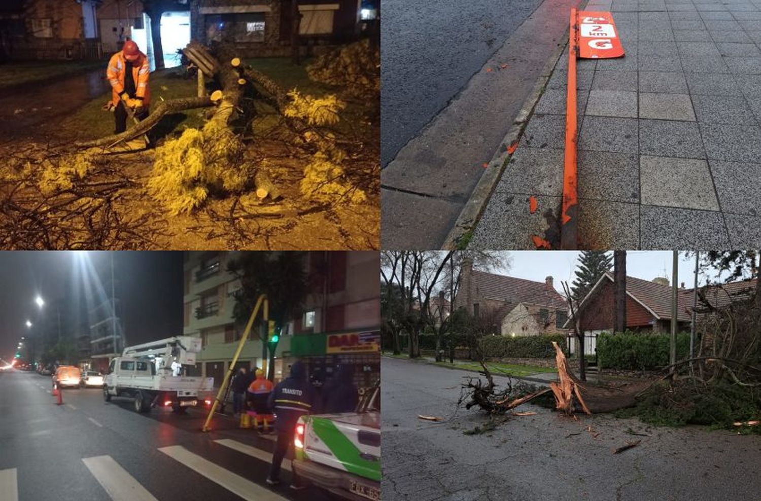 Semáforos y árboles caídos: el balance de las primeras horas de alerta en Mar del Plata