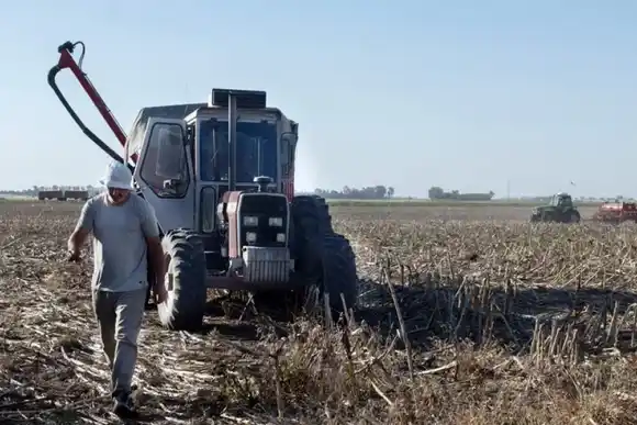 Sequía en la región: una cámara satelital mostró el cambio que se produjo en el territorio a lo largo de un año