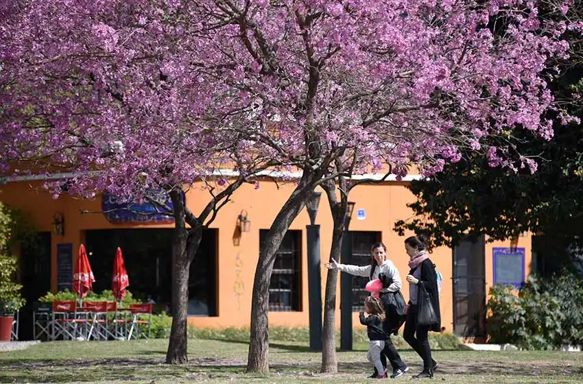 Siempre sale el sol: miércoles agradable con tintes primaverales