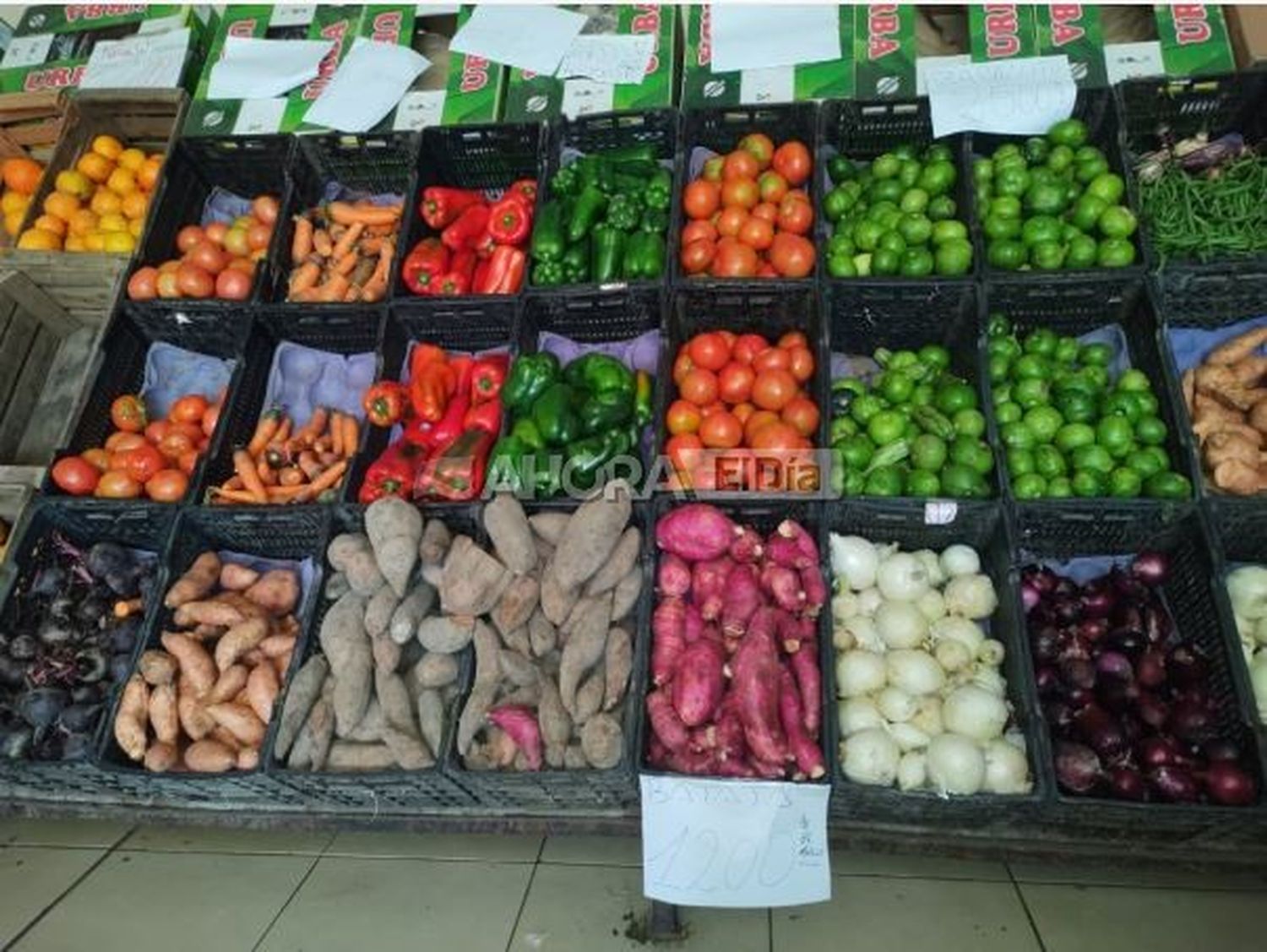 Nuevo incremento de frutas y verduras en Gualeguaychú: entre la inflación y las heladas