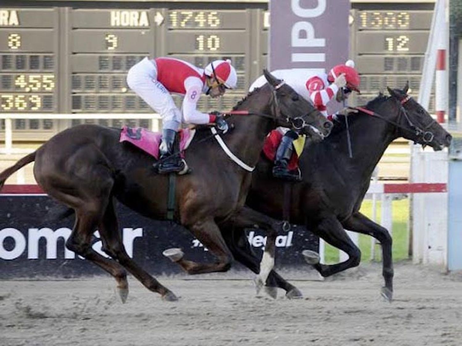 Martes 16: Actividad Hipódromo de La Plata