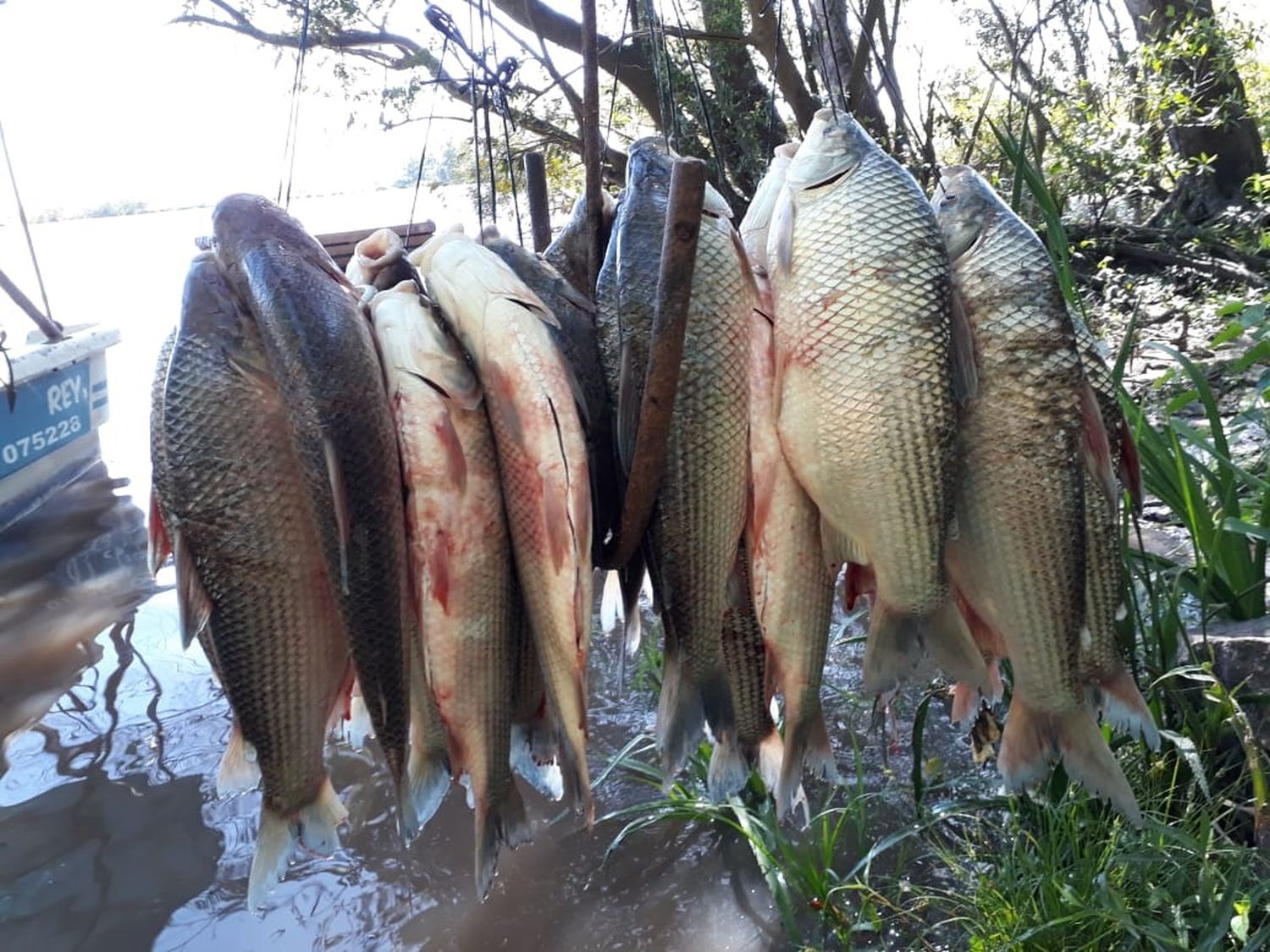 pescadores