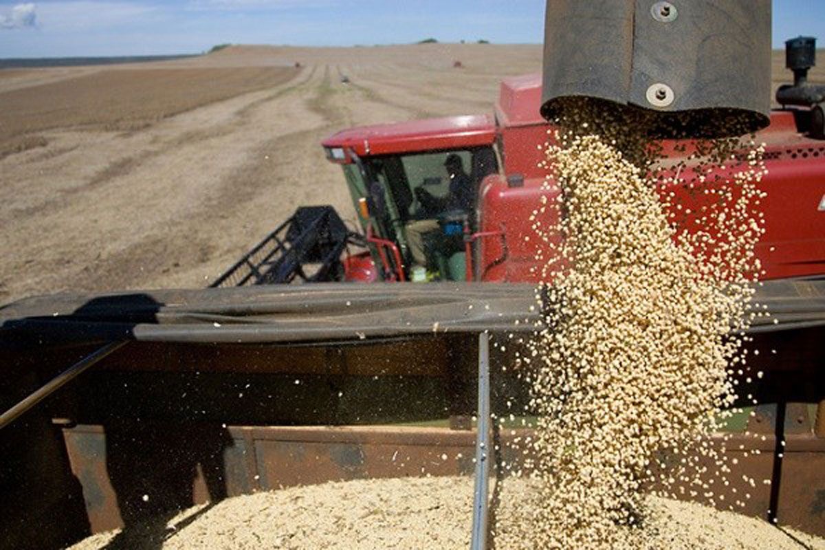 De cada $100 producidos por el agro, $61,50 quedan en manos del Estado