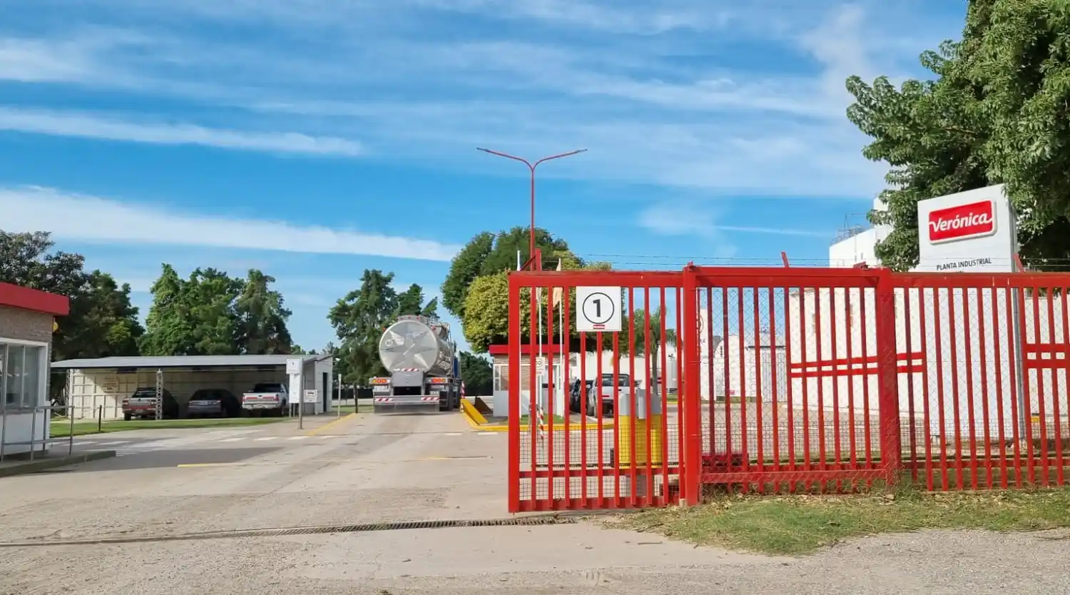 lacteos veronica - 1