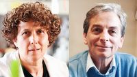 Estudio argentino avala la combinación de vacunas como esquema primario contra el coronavirus