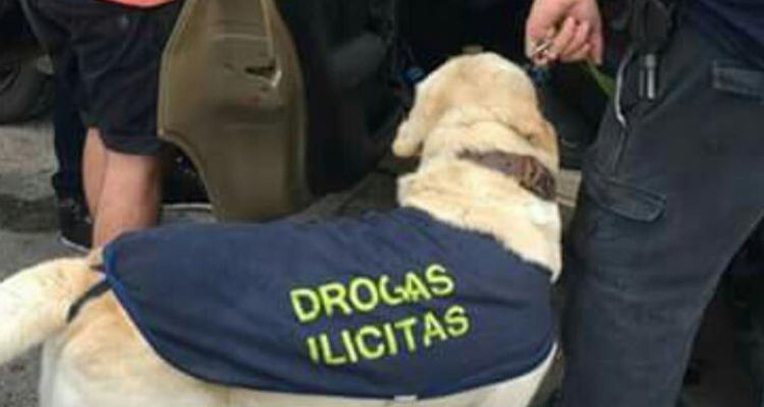 La DDA se suma  a los operativos de verano