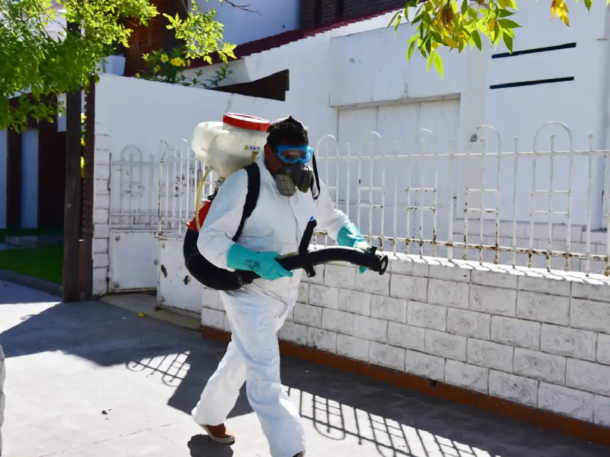 Dengue: fumigan en los barrios pero advierten que no alcanza para eliminar al mosquito