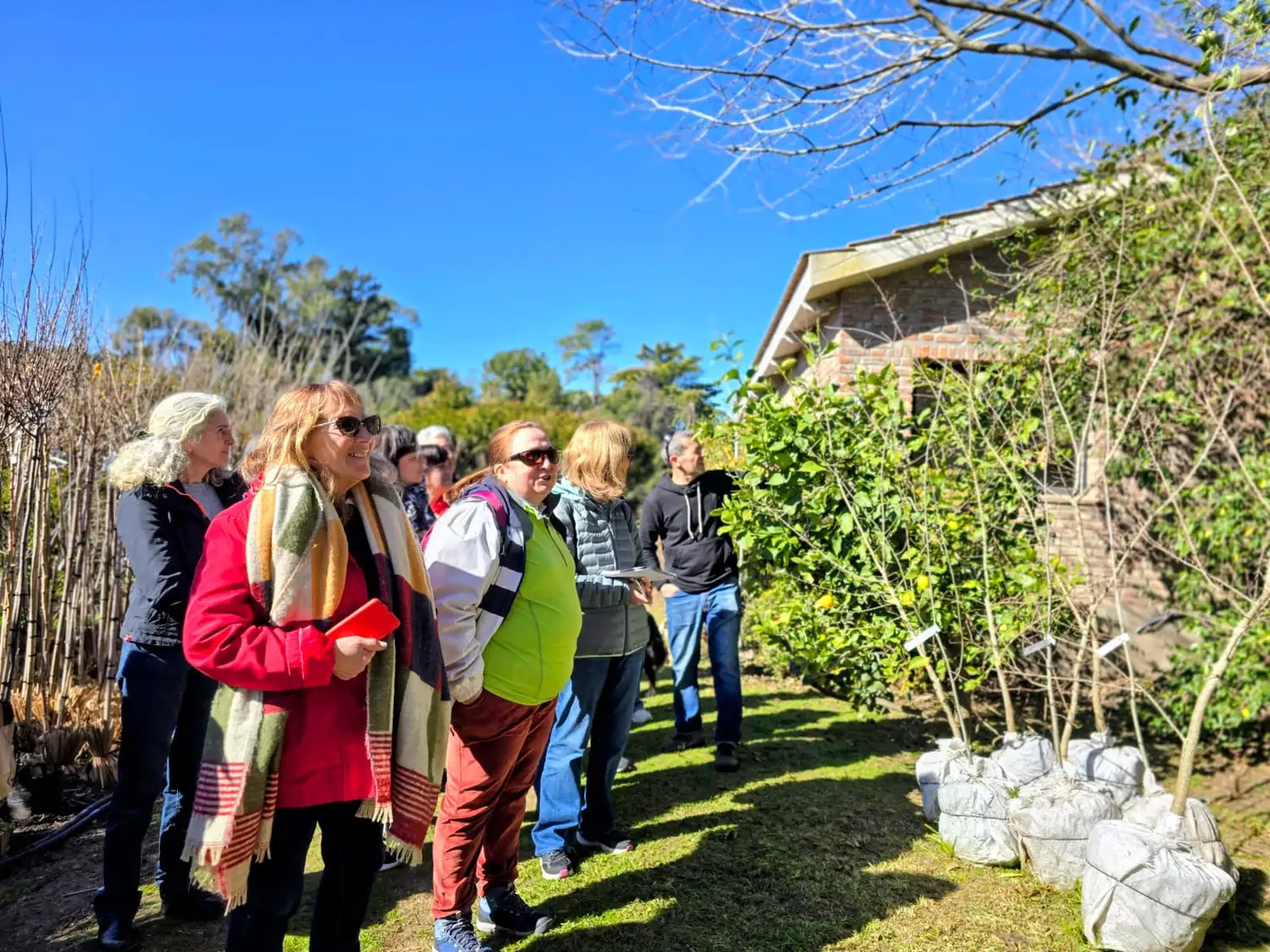 El programa "Tandil Cultiva Saberes" cuenta con propuestas de jardinería, arbolado y paisajismo.