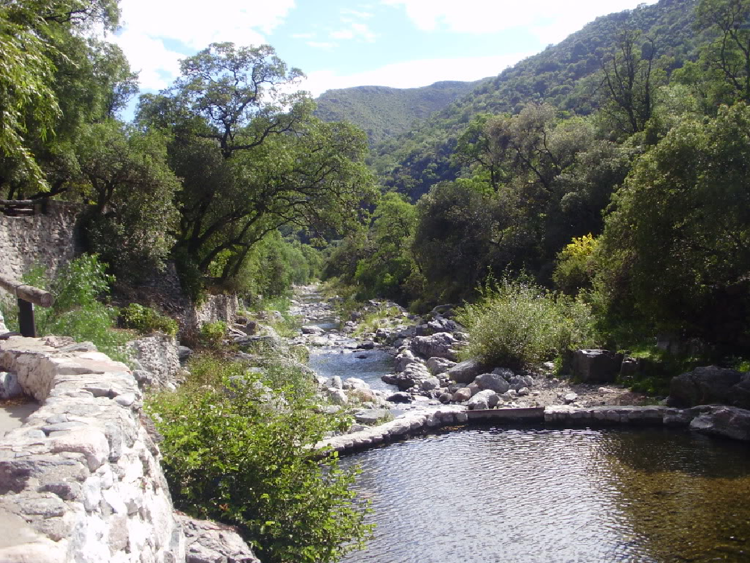 Critican como "un enorme  retroceso" al proyecto de  ley de bosques de Córdoba