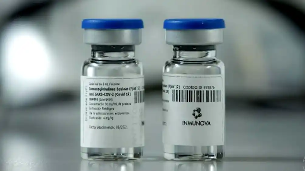 Presentan en la ANMAT el estudio de suero equino capaz de neutralizar el coronavirus