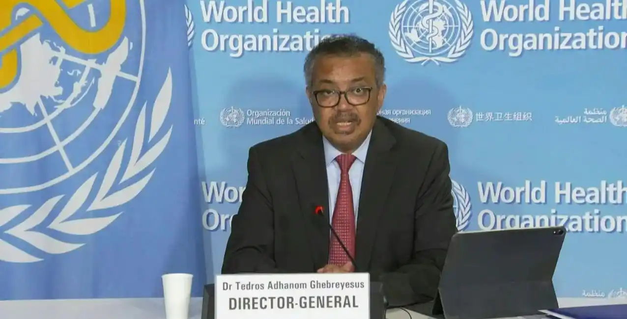 Viruela del mono: la OMS declaró la emergencia a nivel mundial