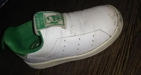 Zapatilla perdida