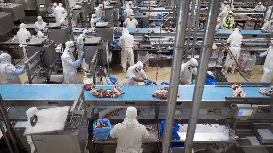 El precio promedio de exportación se ubicó en 6.338 dólares por tonelada en febrero