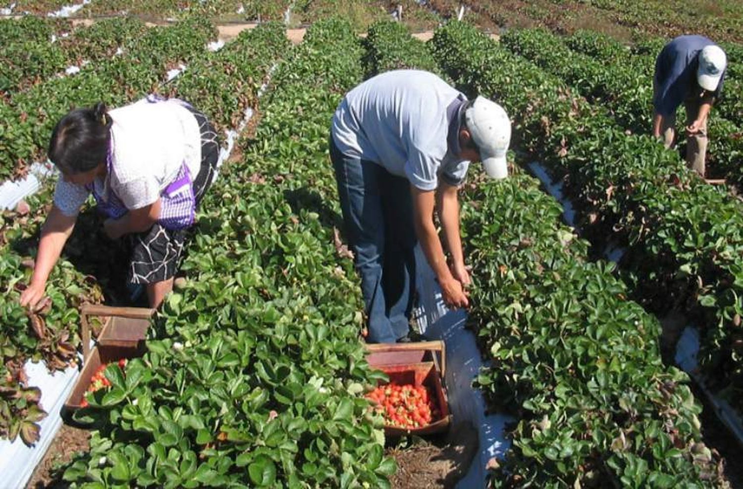 Batán: la Justicia trabaja en la prevención de la explotación laboral