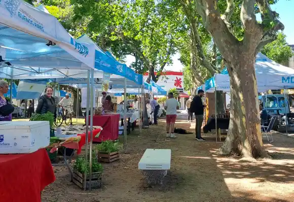 Nueva feria de Mercados Bonaerenses con importantes beneficios con la Cuenta DNI