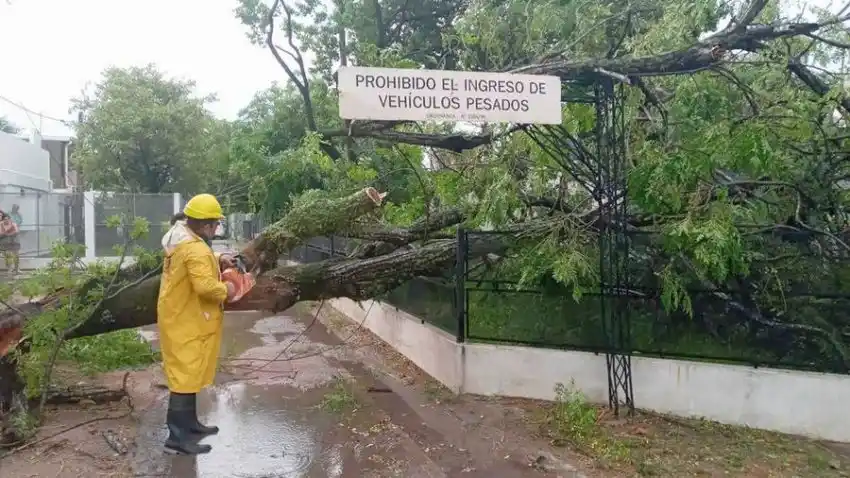 Rápida respuesta municipal ante el temporal