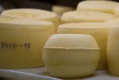 Abren las inscripciones para ser un especialista en quesos:  A distancia y en la Facultad de Bromatología UNER