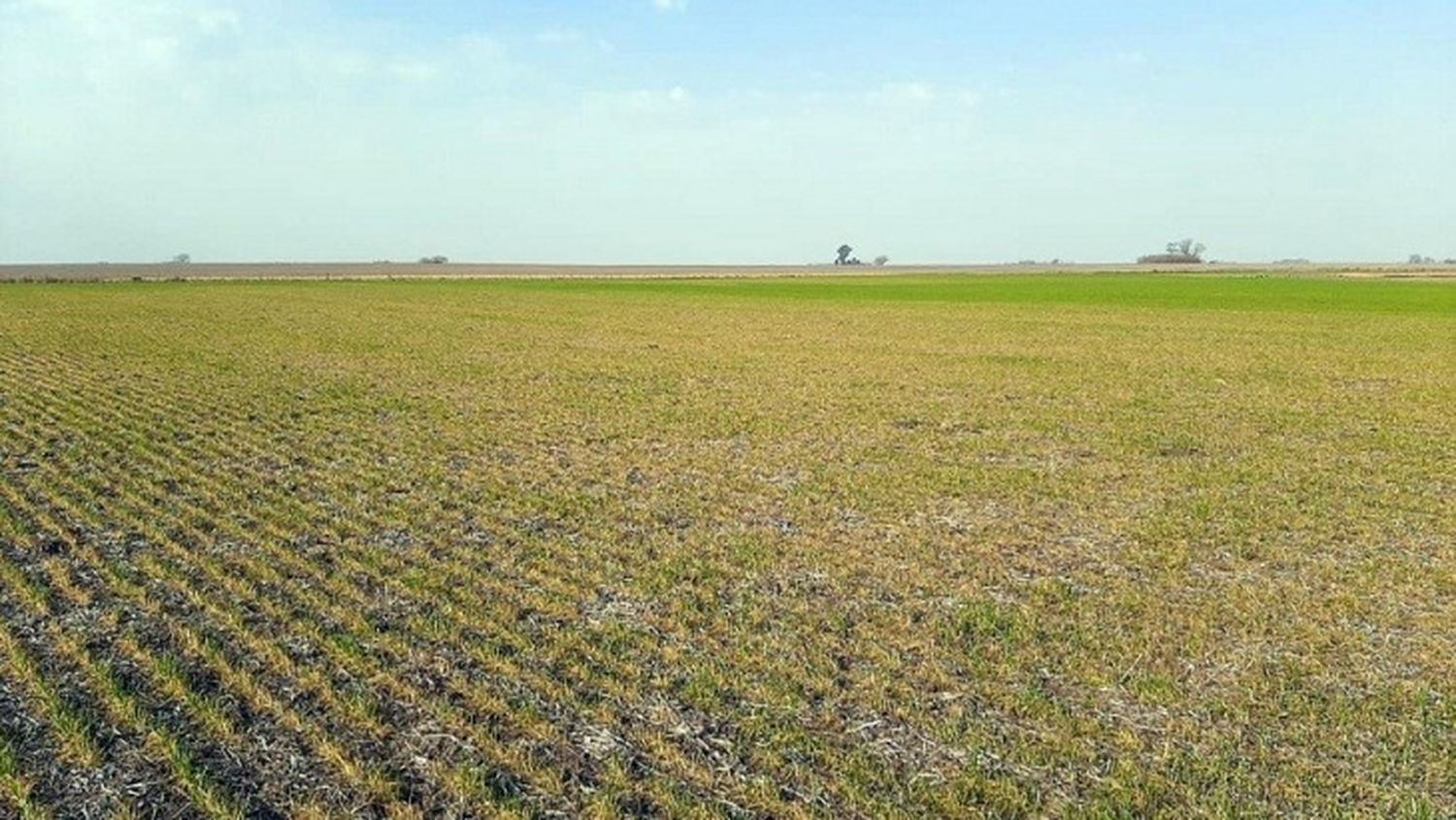 Protesta del campo en Bragado: “Es para este gobierno y para el que venga”, dijo productor local