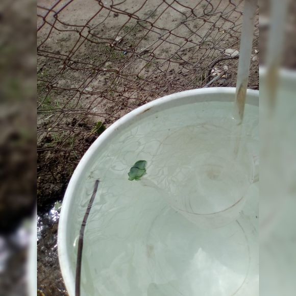 Oficina de quejas: vecina reclama por la falta de agua en Río Tala