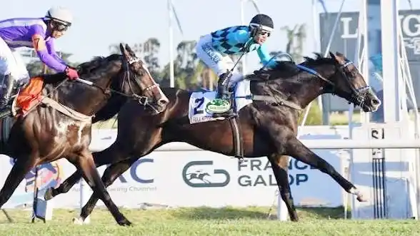 Tras ser distanciado, Full Keynote vuelve en el Clásico Porteño (G3) para reivindicarse.