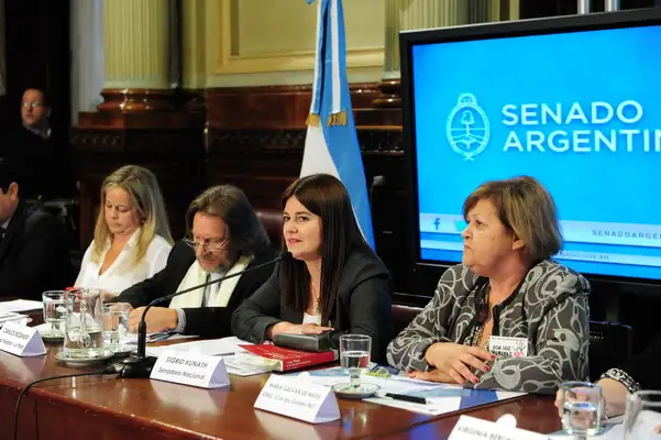 Debatieron en el Senado la Ley de Respeto a los Tiempos de las Víctimas