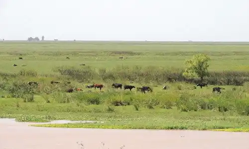 Productores convocaron a una reunión para debatir sobre el Delta 