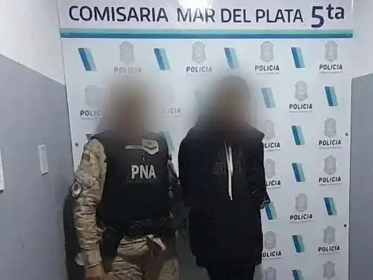 Aprehenden a una mujer por intento de robo y agresión a un chofer de colectivo en Mar del Plata