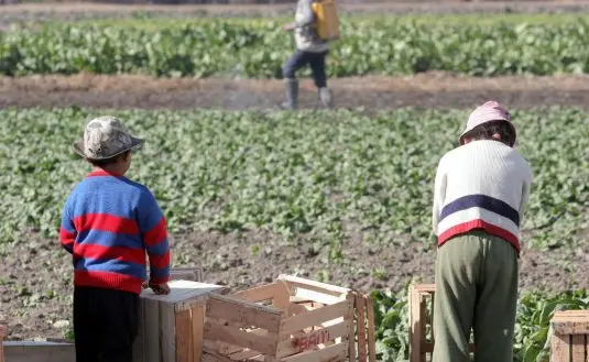 Millones de niños salen a trabajar