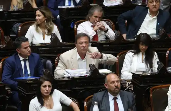 Ley Ómnibus: el oficialismo no logró conseguir la totalidad de las facultades delegadas que aspiraba