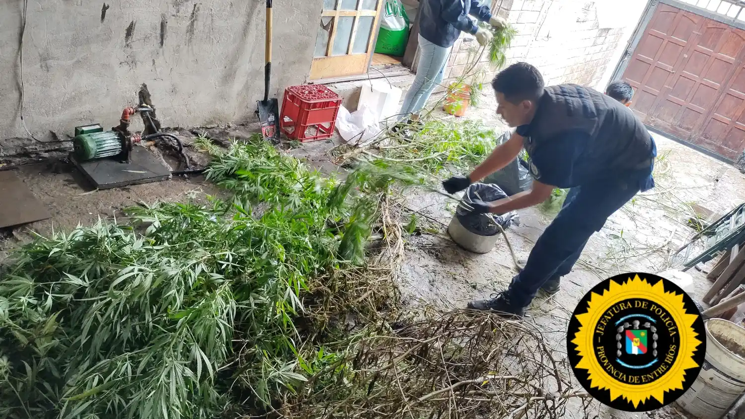 Investigan la muerte de una mujer de 76 años en Paraná