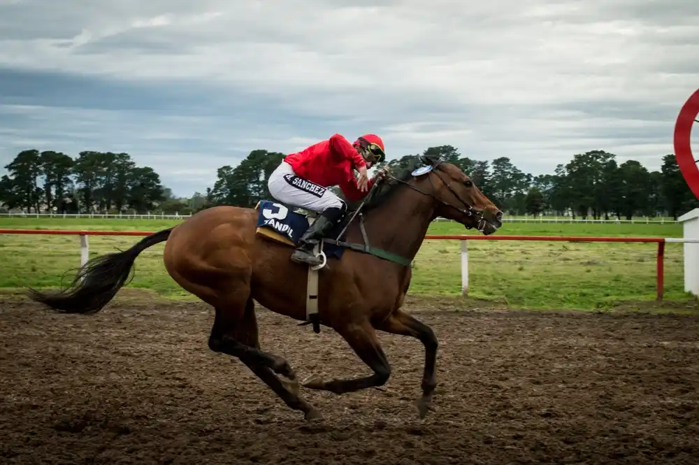 El Hipódromo de Tandil vivió una nueva jornada