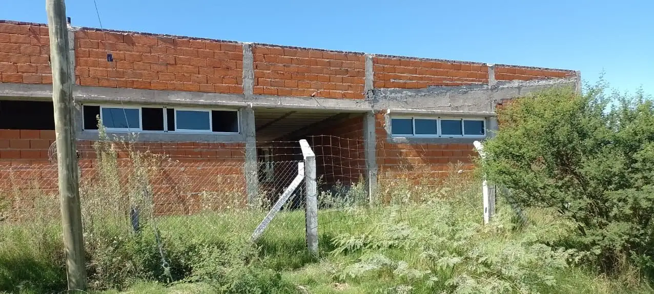 La maleza tapa la esperanza-