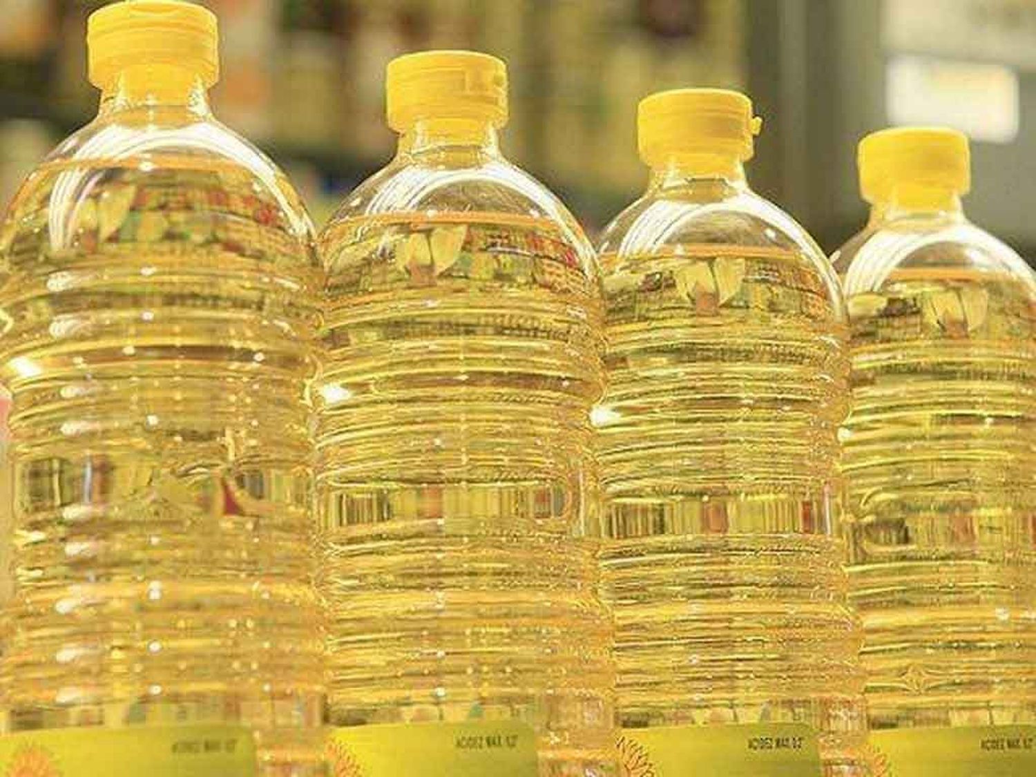 La Argentina logra récord en exportaciones de aceite y subproductos de girasol tras 18 años