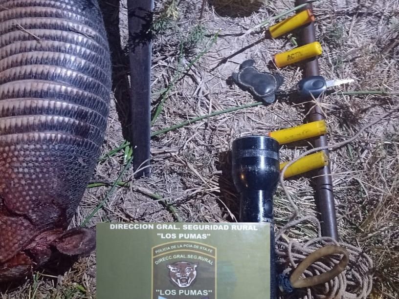 Estaba cazando y fue sorprendido con un arma sin papeles, municiones y un ejemplar de tatú carreta