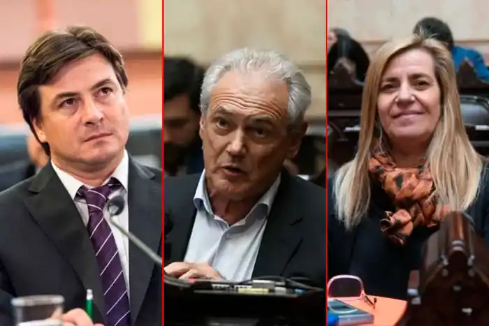 Antola y Benedetti votaron afirmativo y Morchio ausente en la votación sobre vetos