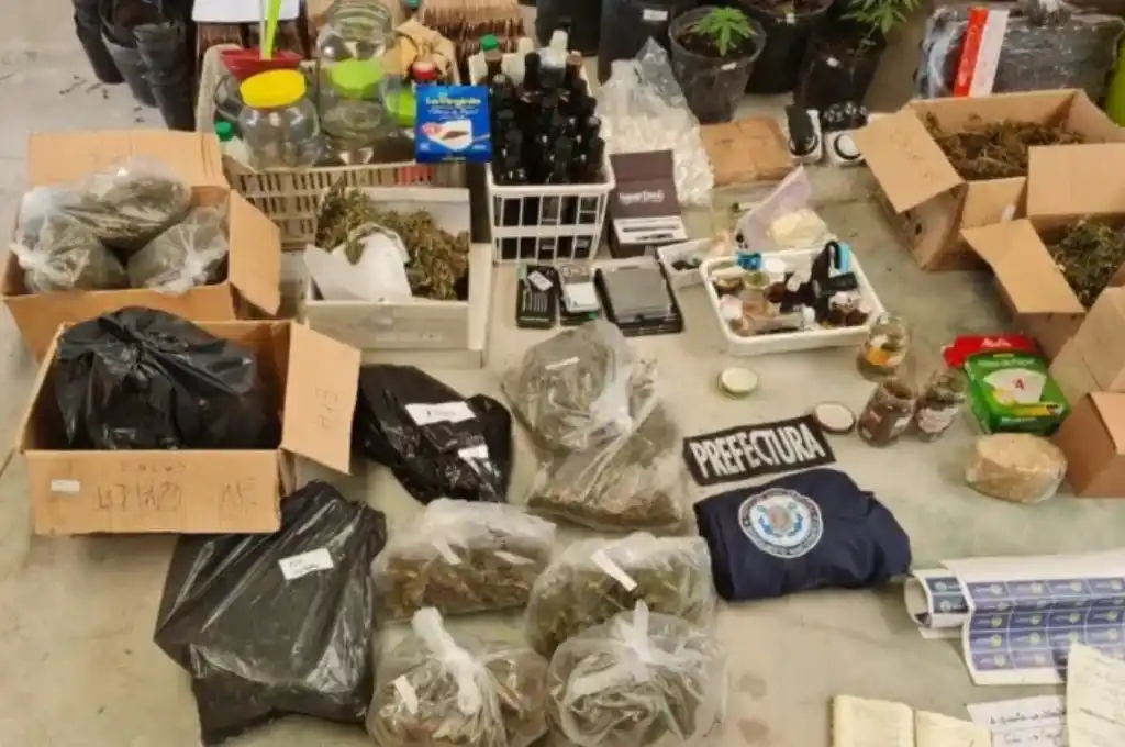 Cayó un banda que producía y distribuía productos de marihuana