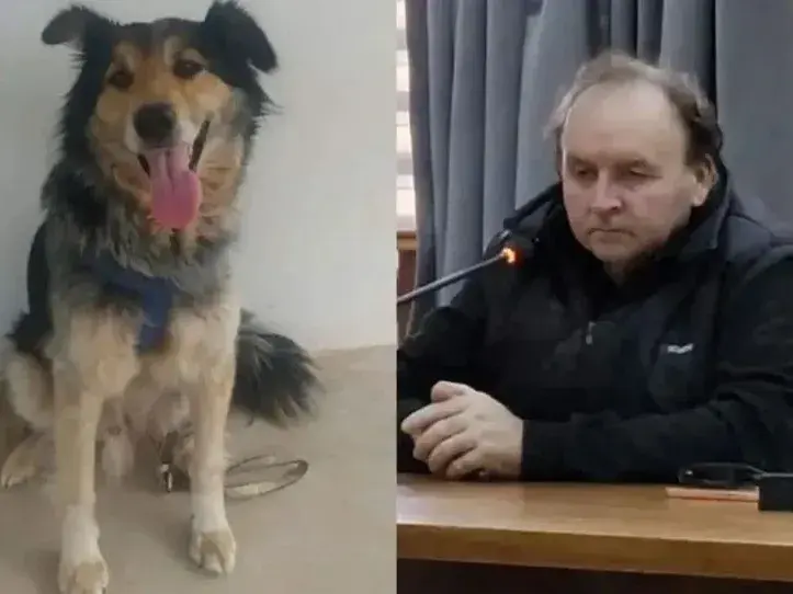 Condenaron a un hombre que ahorcó a su perro en Santa Anita