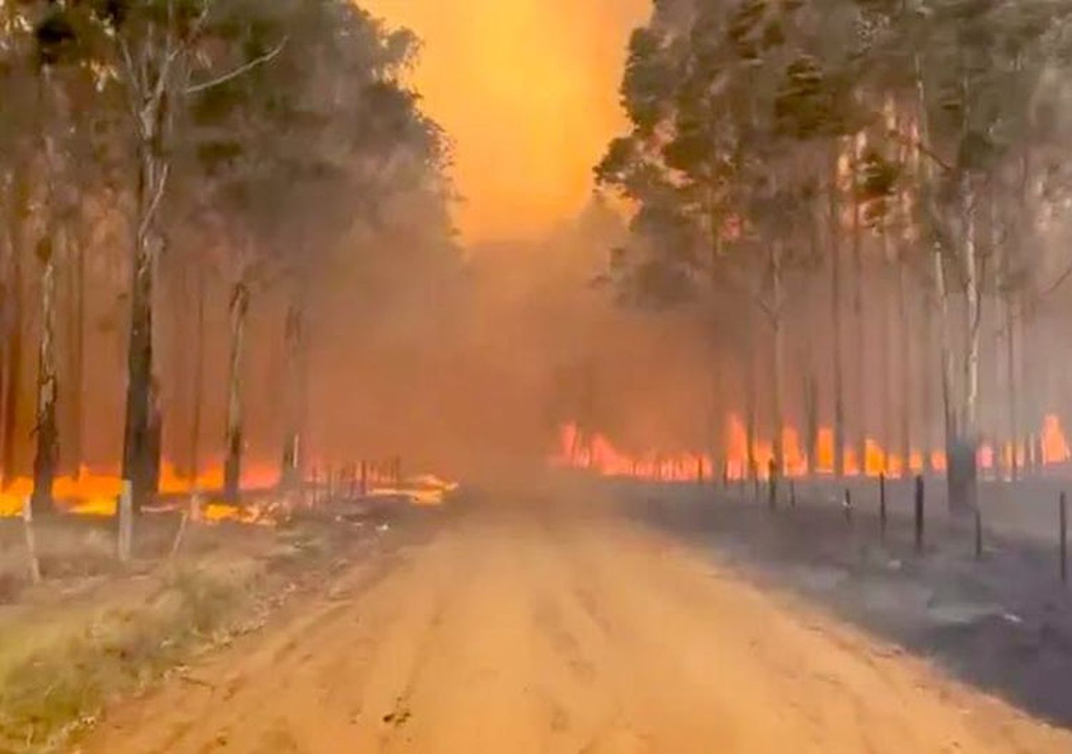 En Tandil también se hacen colectas para colaborar a combatir los incendios en Corrientes